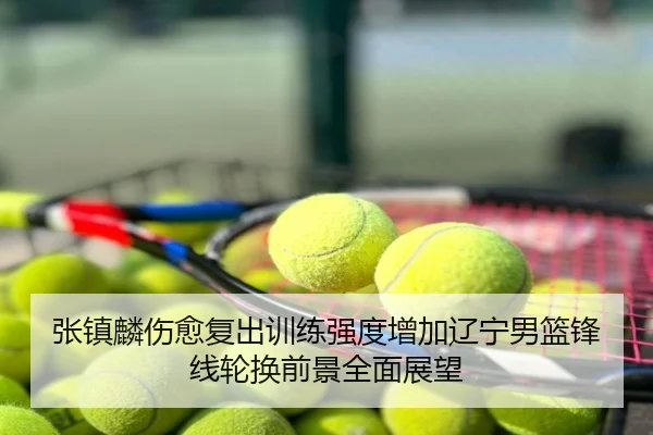 张镇麟伤愈复出训练强度增加辽宁男篮锋线轮换前景全面展望